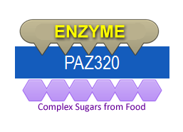 PAZ320