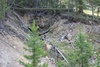Prospect Pit at Basin Gulch - 4