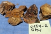 Jungo Trench Samples - 2