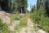 Coarse Gold in Breccia from 95 to 115 feet - 2