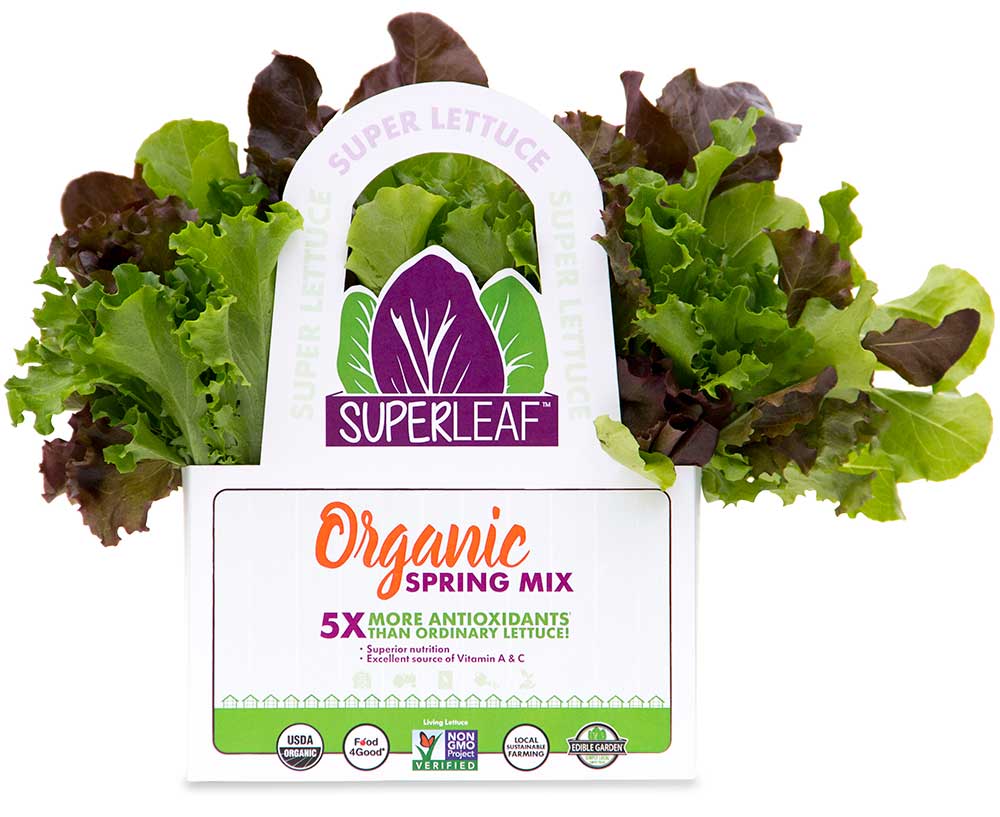 Superleaf Spring Mix - Living