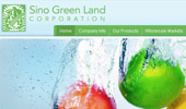 Sino Green Land - Corporate Website Design