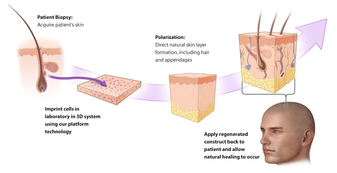 Manufacturing Process